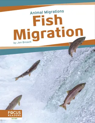 La migration des poissons - Fish Migration