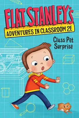 Les aventures de Flat Stanley en classe 2e #1 : La surprise des animaux de la classe - Flat Stanley's Adventures in Classroom 2e #1: Class Pet Surprise