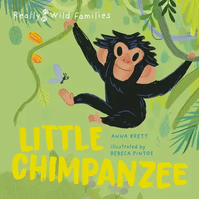 Petit chimpanzé : une journée dans la vie d'un bébé chimpanzé - Little Chimpanzee: A Day in the Life of a Baby Chimp