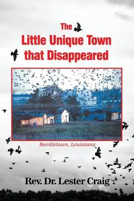 La petite ville unique qui a disparu - The Little Unique Town that Disappeared