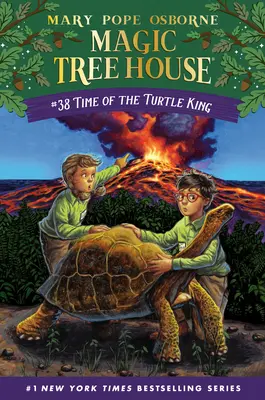 Le temps du roi des tortues - Time of the Turtle King