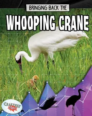 Le retour de la grue blanche - Bringing Back the Whooping Crane