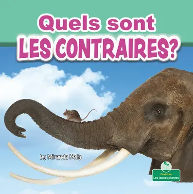 Quels Sont Les Contraires ? (Quels sont les contraires ?) - Quels Sont Les Contraires? (What Are Opposites?)