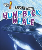 Sauver la baleine à bosse - Save the Humpback Whale