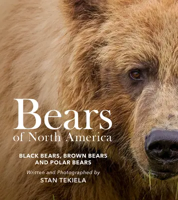 Ours d'Amérique du Nord : Ours noirs, ours bruns et ours polaires - Bears of North America: Black Bears, Brown Bears, and Polar Bears