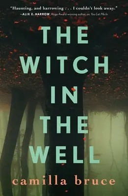 La sorcière du puits - The Witch in the Well