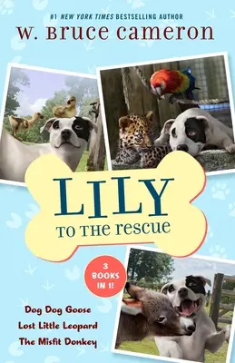 Lily à la rescousse, livres à relier 4-6 : Le chien de l'oie, Le petit léopard perdu et L'âne malchanceux - Lily to the Rescue Bind-Up Books 4-6: Dog Dog Goose, Lost Little Leopard, and the Misfit Donkey