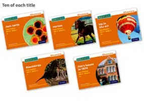 Read Write Inc. Phonics : Orange Set 4 Livres de non-fiction (paquet de 50) - Read Write Inc. Phonics: Orange Set 4 Non-fiction books (Pack of 50)