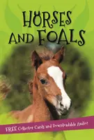 Il s'agit de... Chevaux et poulains - It's all about... Horses and Foals