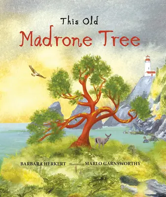 Ce vieux madrone - This Old Madrone Tree