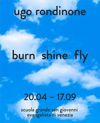 Ugo Rondinone : Burn Shine Fly - Ugo Rondinone: Burn Shine Fly