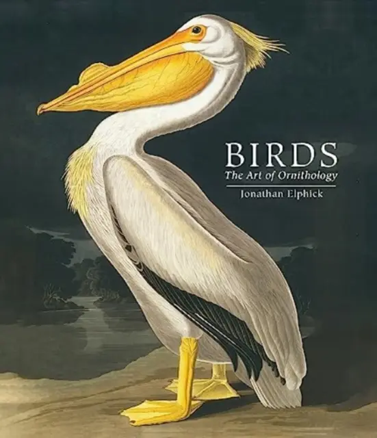 Oiseaux - L'art de l'ornithologie (édition de poche) - Birds - The Art of Ornithology (Pocket edition)