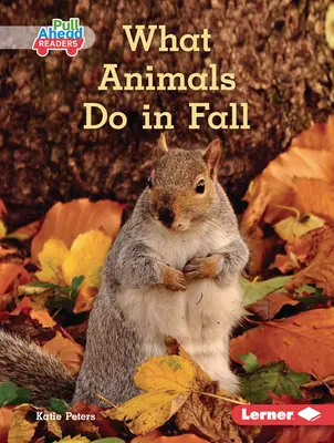 Ce que font les animaux en automne - What Animals Do in Fall