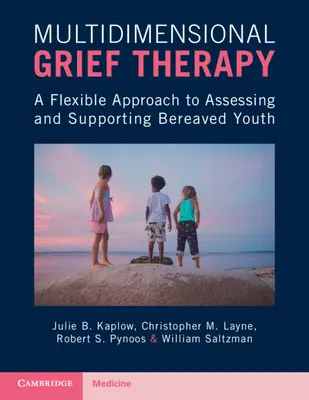 Multidimensional Grief Therapy - A Flexible Approach to Assessing and Supporting Bereaved Youth (La thérapie multidimensionnelle du deuil - Une approche flexible de l'évaluation et du soutien des jeunes en deuil) - Multidimensional Grief Therapy - A Flexible Approach to Assessing and Supporting Bereaved Youth