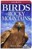 Les oiseaux des montagnes Rocheuses - Birds of the Rocky Mountains