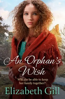 Rêve d'orphelin - An Orphan's Wish