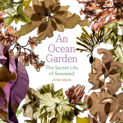 Un jardin océanique : La vie secrète des algues - An Ocean Garden: The Secret Life of Seaweed