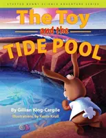 Le jouet et la piscine à marée - Toy and the Tide Pool