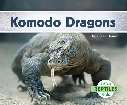 Dragons de Komodo - Komodo Dragons