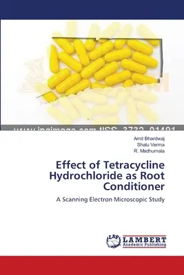 Effet du chlorhydrate de tétracycline comme conditionneur de racines - Effect of Tetracycline Hydrochloride as Root Conditioner