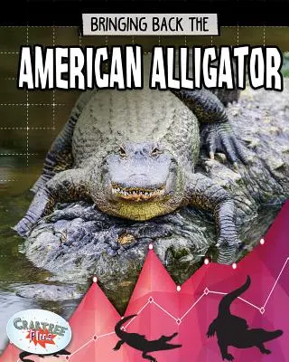 Le retour de l'alligator d'Amérique - Bringing Back the American Alligator