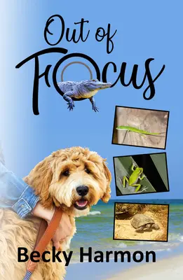 Hors champ - Out of Focus