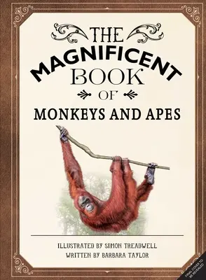 Le magnifique livre des singes et des primates - The Magnificent Book of Monkeys and Apes