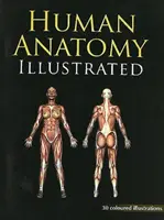 Anatomie humaine illustrée - Human Anatomy Illustrated
