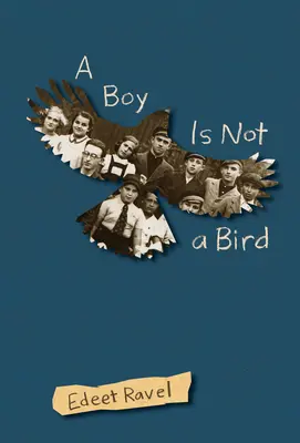 Un garçon n'est pas un oiseau - A Boy Is Not a Bird