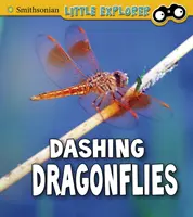 Libellules fringantes - Dashing Dragonflies