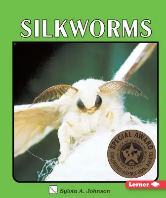 Vers à soie - Silkworms