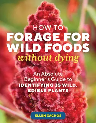 Comment chercher des aliments sauvages sans mourir : Guide d'identification de 40 plantes sauvages comestibles à l'intention des débutants absolus - How to Forage for Wild Foods Without Dying: An Absolute Beginner's Guide to Identifying 40 Edible Wild Plants