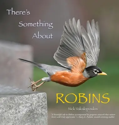 Il y a quelque chose à propos des merles - There's Something About Robins