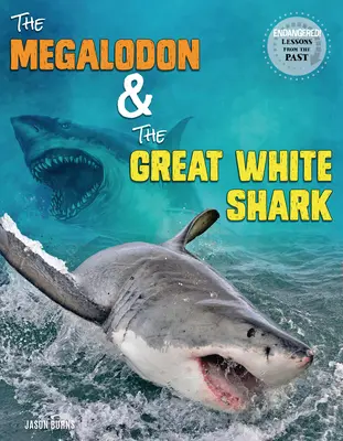 Le mégalodon et le grand requin blanc - The Megalodon and the Great White Shark