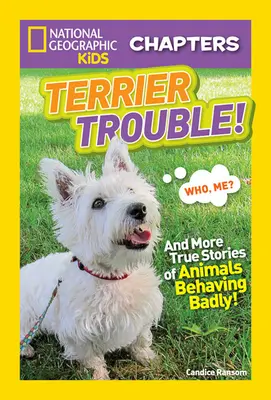 Terrier Trouble ! Et d'autres histoires vraies d'animaux qui se comportent mal - Terrier Trouble!: And More True Stories of Animals Behaving Badly