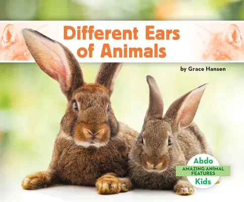 Différentes oreilles d'animaux - Different Ears of Animals