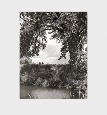 Robert Adams : Bois de coton - Robert Adams: Cottonwoods