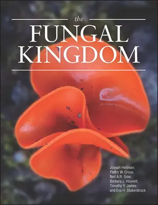 Le royaume des fongus - The Fungal Kingdom