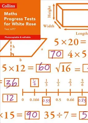 Collins Tests & Assessment - Year 6/P7 Maths Progress Tests for White Rose (en anglais) - Collins Tests & Assessment - Year 6/P7 Maths Progress Tests for White Rose