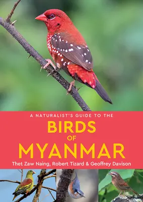 Guide du naturaliste sur les oiseaux du Myanmar - A Naturalist's Guide to the Birds of Myanmar