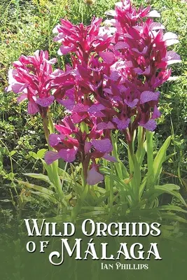 Les orchidées sauvages de Mlaga - Wild Orchids of Mlaga