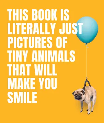 Ce livre est littéralement composé de photos de petits animaux qui vous feront sourire. - This Book Is Literally Just Pictures of Tiny Animals That Will Make You Smile