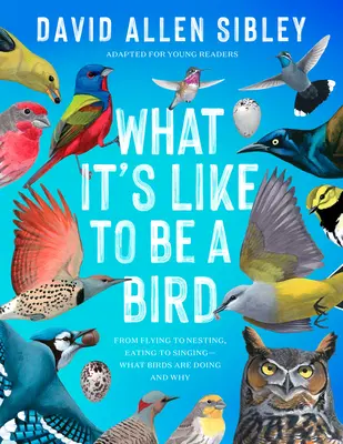 Ce que c'est que d'être un oiseau (adapté pour les jeunes lecteurs) : De l'envol à la nidification, de l'alimentation au chant, ce que font les oiseaux et pourquoi. - What It's Like to Be a Bird (Adapted for Young Readers): From Flying to Nesting, Eating to Singing--What Birds Are Doing and Why