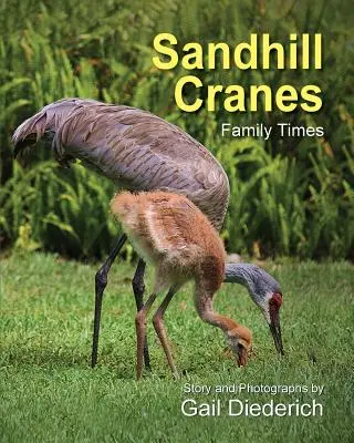 La grue du Canada, un temps de famille - Sandhill Cranes, Family Times