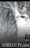 Les bouleaux d'argent - Silver Birches