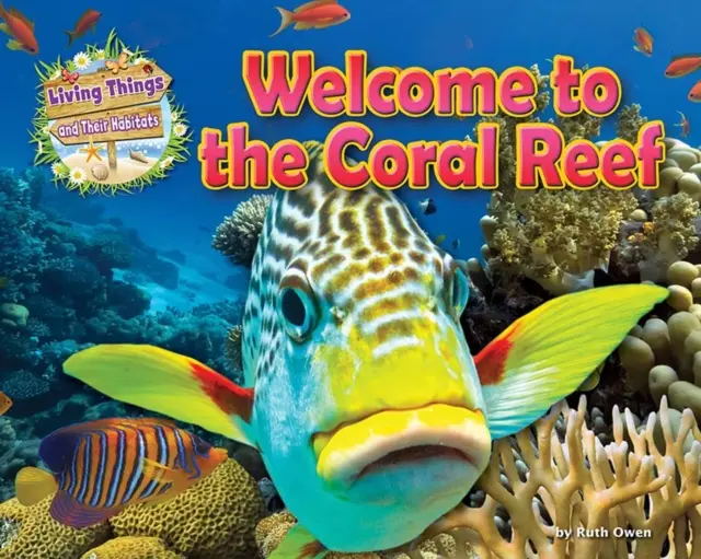 Bienvenue dans le récif corallien - Welcome to the Coral Reef