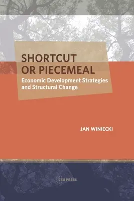 Raccourci ou fragmentation : Stratégies de développement économique et changement structurel - Shortcut or Piecemeal: Economic Development Strategies and Structural Change