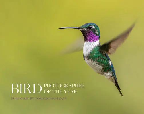 Photographe d'oiseaux de l'année - Bird Photographer of the Year