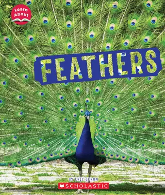 Plumes (Tout savoir sur les revêtements des animaux) - Feathers (Learn About: Animal Coverings)