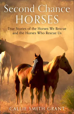 Chevaux de la seconde chance : Histoires vraies des chevaux que nous sauvons et de ceux qui nous sauvent - Second-Chance Horses: True Stories of the Horses We Rescue and the Horses Who Rescue Us